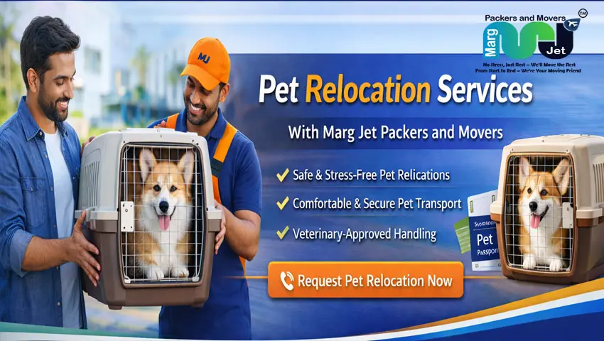 Marg jet Packers and Movers - Pet Relocation Services